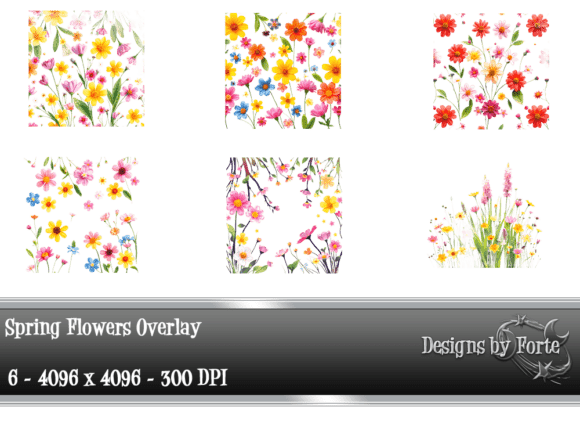 Download 6 Vibrant Spring Floral Overlays - Floral Collection