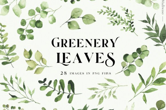 Download Green Leaves Watercolor Clipart Foliage - Green Collection